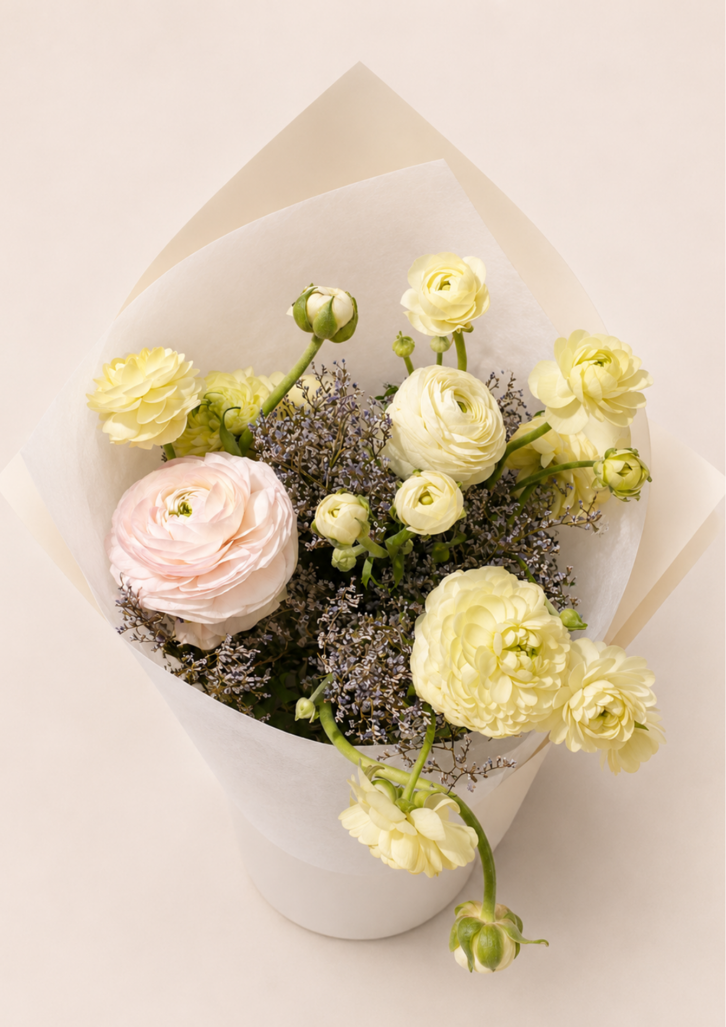 I Ranunculus.