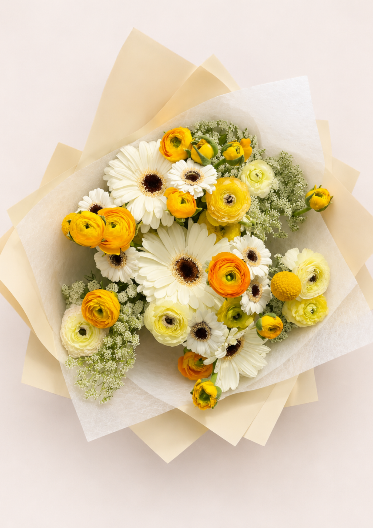 II Ranunculus.